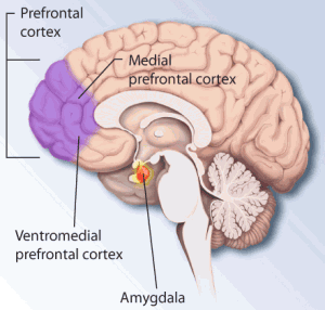 Trauma and Sleep