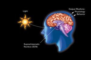 Melatonin and sleep