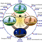 Sleep - assessment-tools-to-measure -sleep